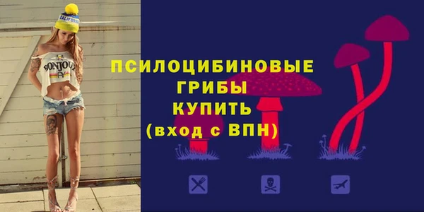 каннабис Новодвинск