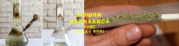 гидропоника Новозыбков