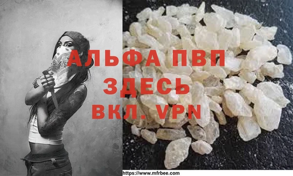 ПСИЛОЦИБИНОВЫЕ ГРИБЫ Новокубанск