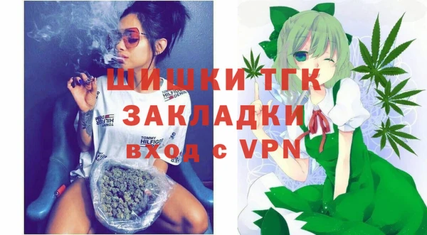 гидропоника Новозыбков