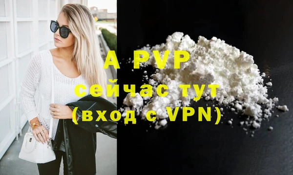 ПСИЛОЦИБИНОВЫЕ ГРИБЫ Новокубанск